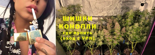 PSILOCYBIN Балабаново