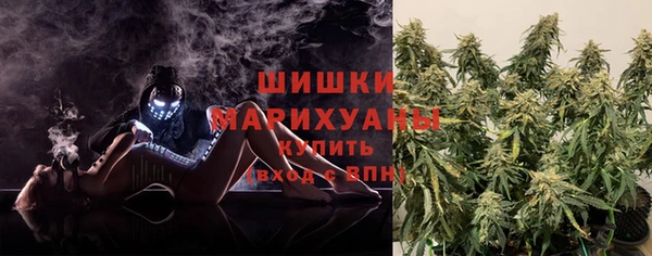PSILOCYBIN Балабаново