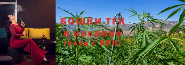 PSILOCYBIN Балабаново