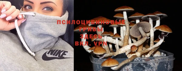 крисы Балахна